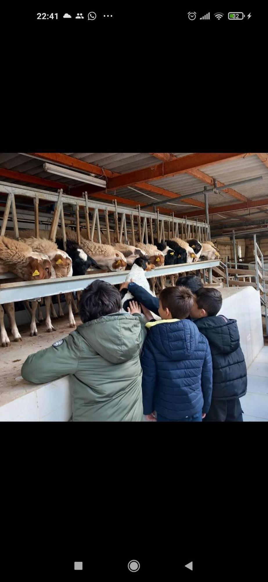 Ta' Gingel Farm Agriturisim B&b. Malta Сент-Полс-Бей