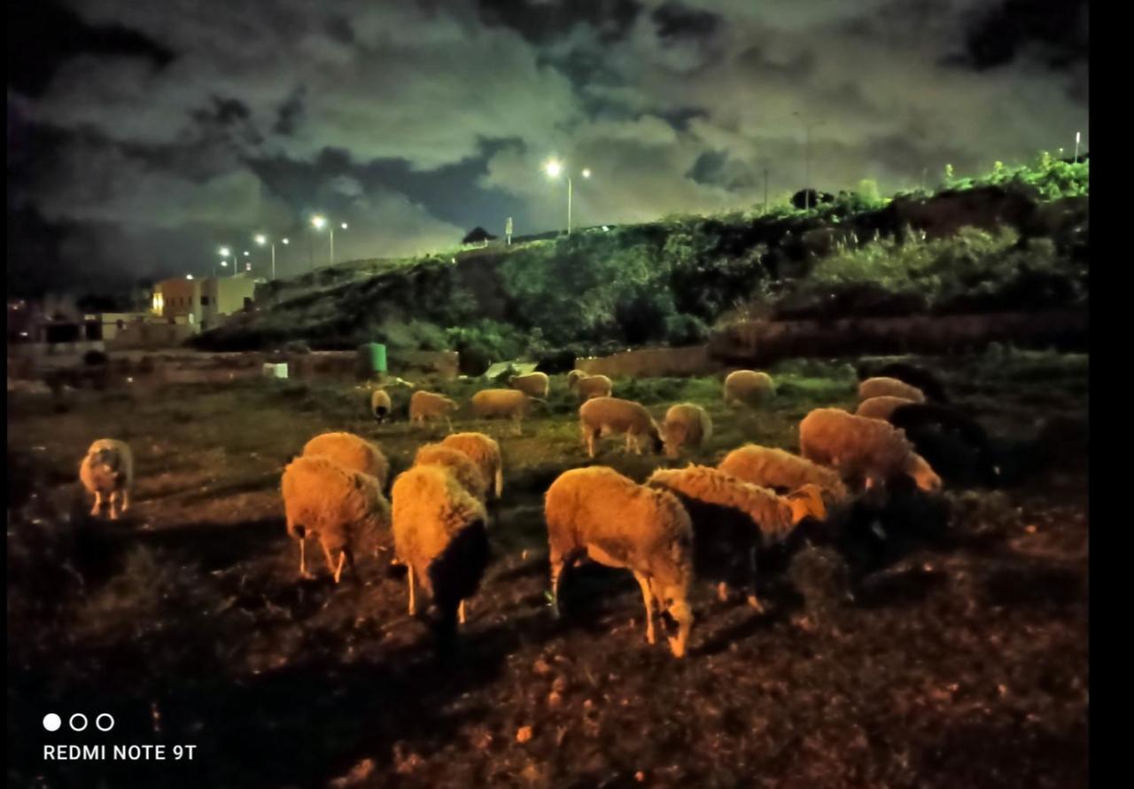 Farm stay Ta' Gingel Farm Agriturisim B&b. Malta *